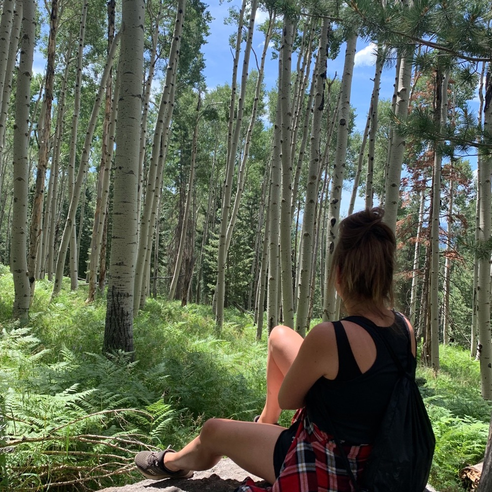 Meet your Posher, Lindsay